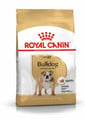 ROYAL CANIN Bulldog 24 adult 12 kg
