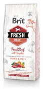 BRIT Fresh beef with pumpkin puppy large - Boeuf frais & citrouille pour chiot de grandes races - 12 kg