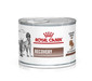 ROYAL CANIN Vet dog/cat recovery 195 g