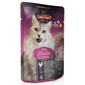 VETEXPERT RAW PALEO Ultra Turkey Mini Puppy Pour chiots de petite race avec dinde 8 kg