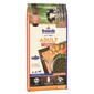 BOSCH Adult saumon et pommes de terre 15 kg