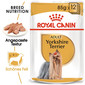 ROYAL CANIN Yorkshire Terrier Adult Pâtée 12x85g