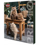 TRIXIE Premio Calendario dell'Avvento per gatti 24,5 × 37 × 3,5 cm